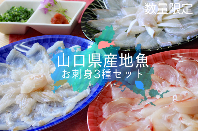 山口県産 魚 鮮魚 刺身 ギフト お中元