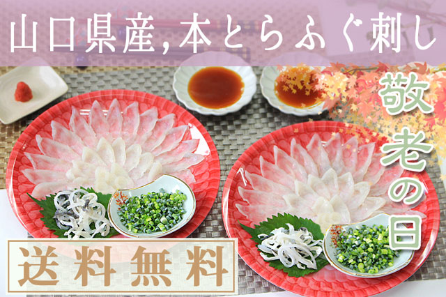 両セットメイン画像