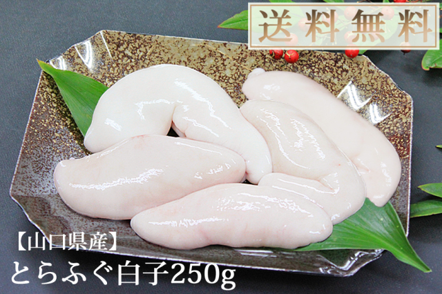 国産 ギフトとらふぐ白子250g
