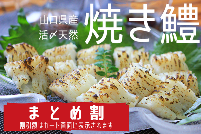 焼き鱧100g 鱧 ハモ 天然