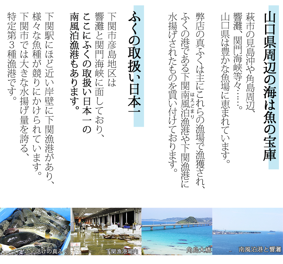 真ふぐ 説明