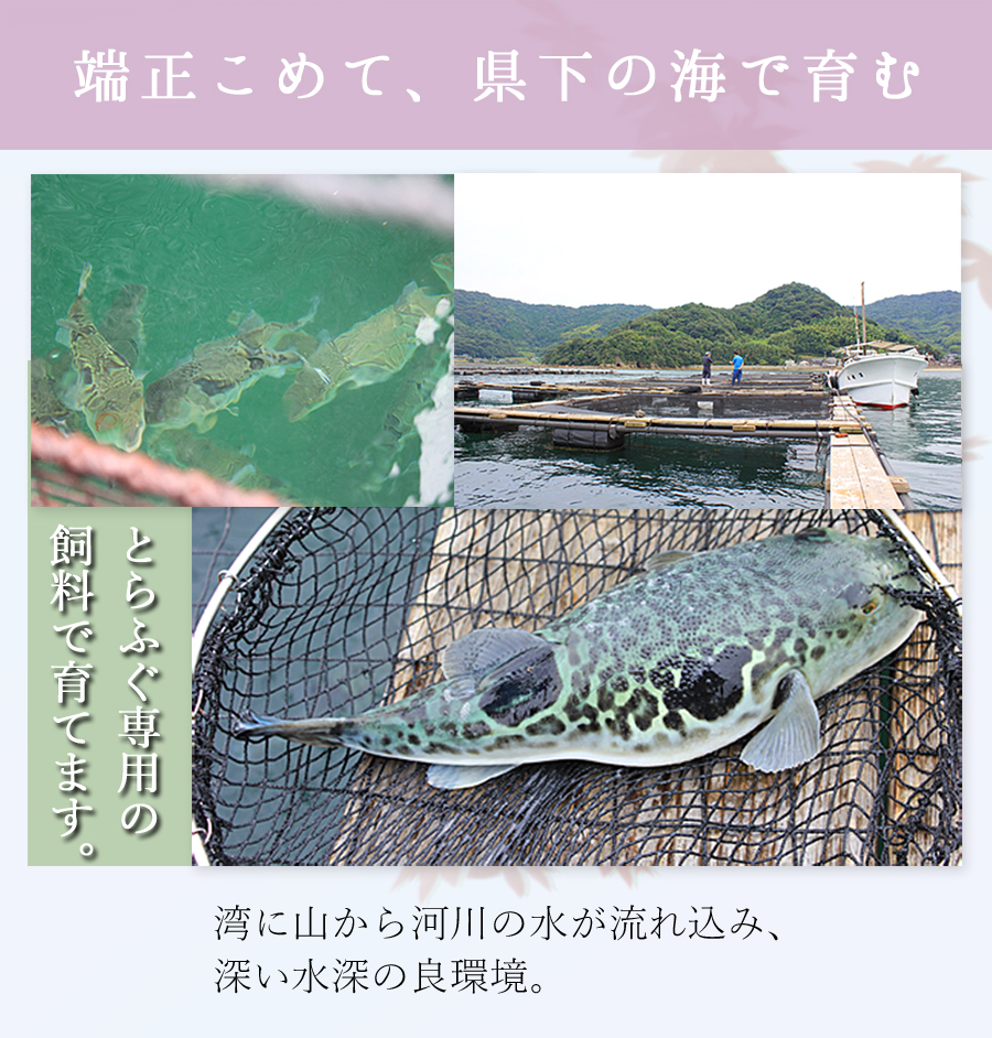 両々セット