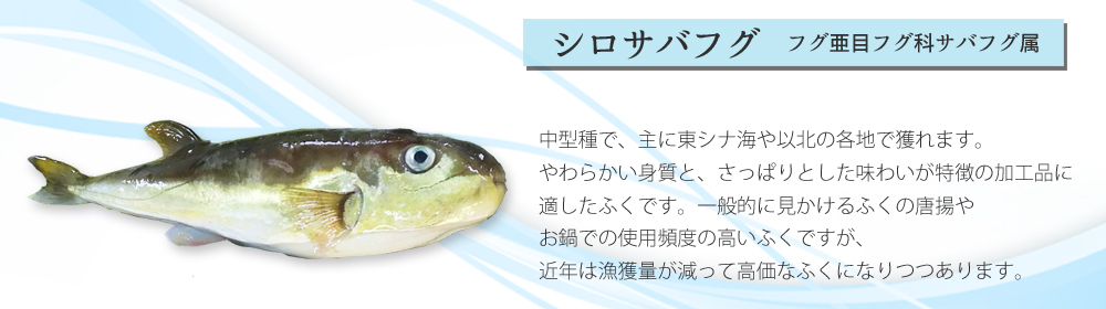 ふぐみりん干500g ふぐ通販なら 魚重 ふぐみりん干500g ふぐ通販なら 魚重