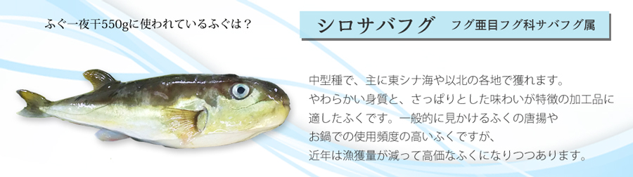 ふぐ一夜干550g ふぐ通販なら 魚重 ふぐ一夜干550g ふぐ通販なら 魚重