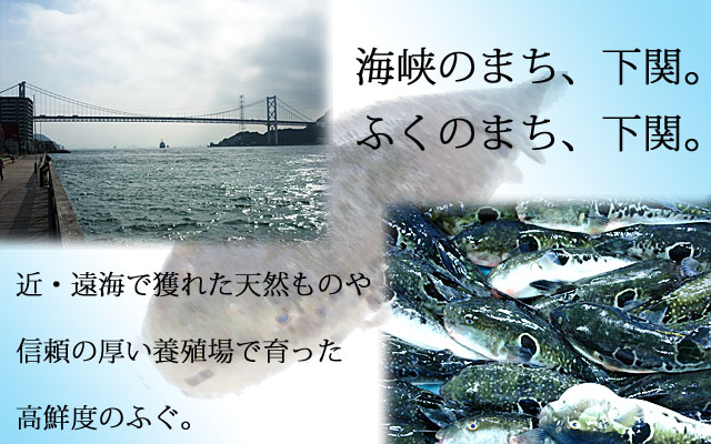 山口県下関市ふぐの魚重