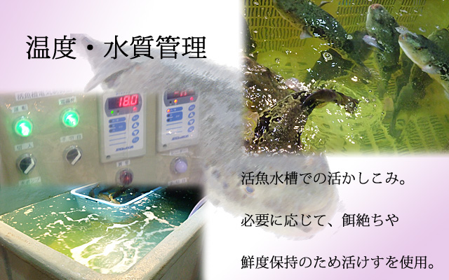 山口県下関市ふぐの魚重