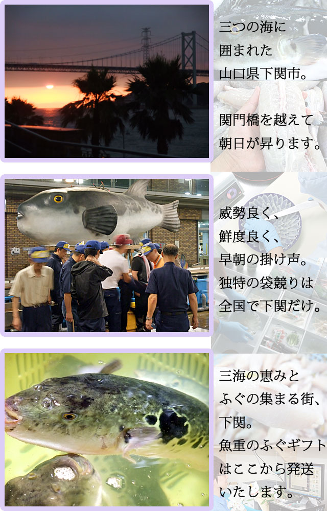 山口県下関市ふぐの魚重