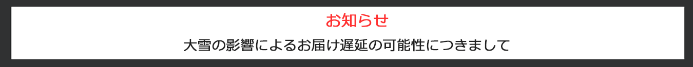 大雪の影響による遅延の可能性につきまして